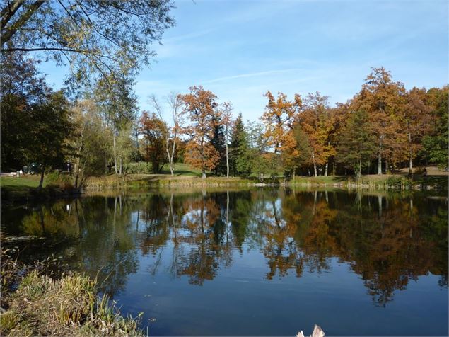 L'étang de Cessy en automne - OTPGF