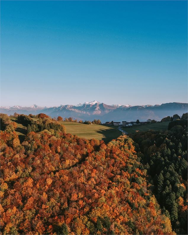 Salève en automne, vue sur le Léman - OT Monts de Genève - A.Modylevskaia