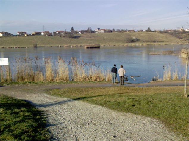 Lac de Machilly 1 - Aline Loeffer