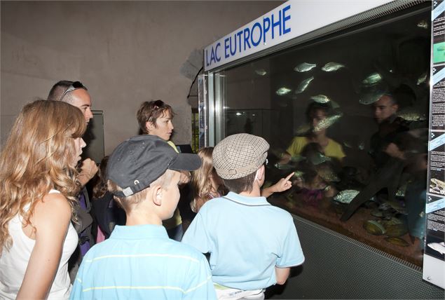 Salle des aquariums - Téo Jaffre