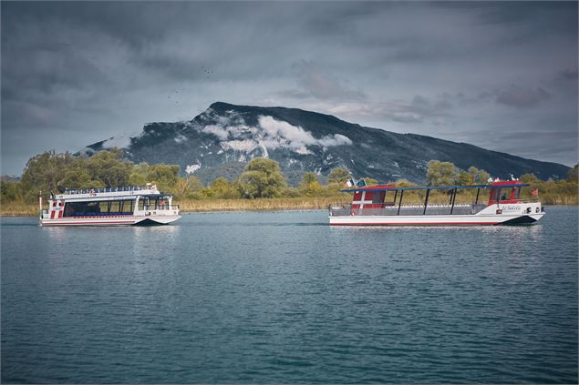 Le Savoyard 2 et le Solely sur le Lac du Bourget - bateaucanal