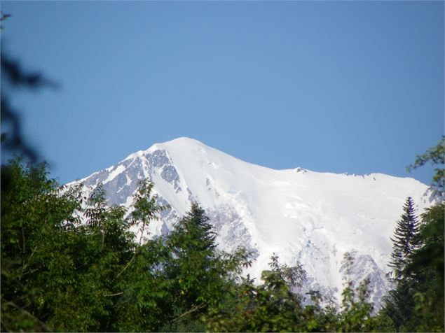 Le Mont-Blanc vu de l'arboretum de Villard sur Doron