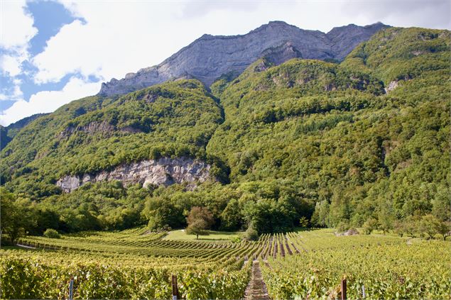 La Vigne sous les cascades - OT Coeur de Savoie