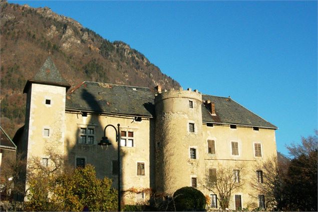 Château de Mercury - D. Coisplet