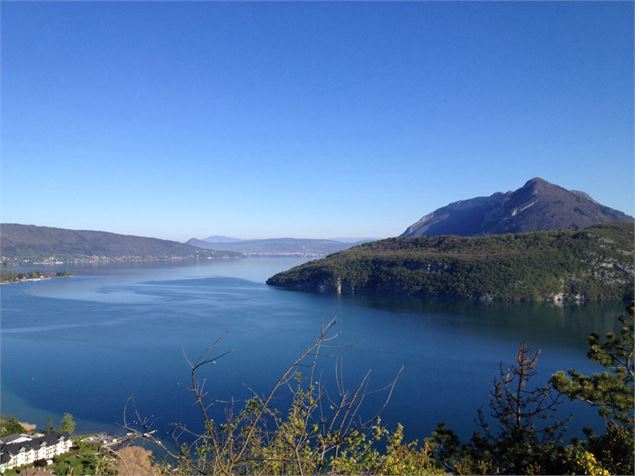 Panorama sur le lac - Nicole Tissot