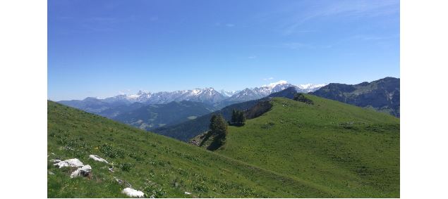 Panorama sur les Alpes - Nicole Tissot