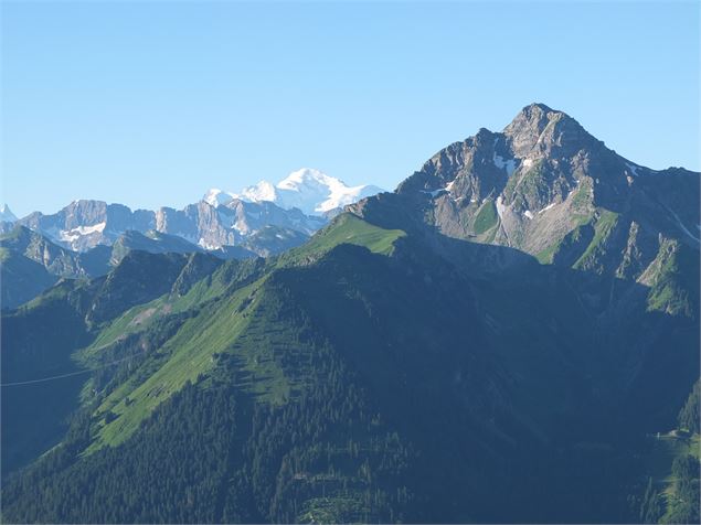 Vue sur le Mont de Grange et Mont Blanc - OTPEVA