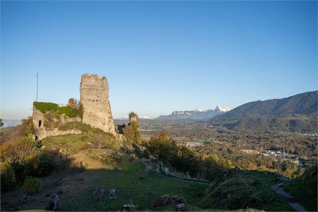 Château et montagnes - Destination Léman - C.Vuillequez