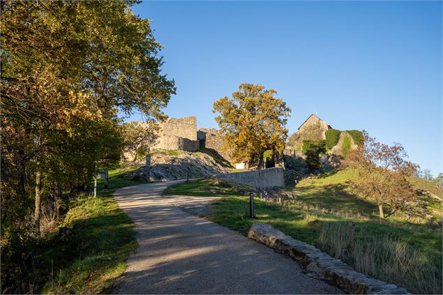 Chemin pour monter aux châteaux - Destination Léman - C.Vuillequez
