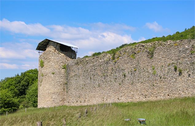 remparts du château des Allymes - S.Megani