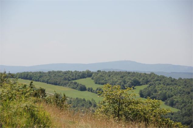 Plateau d'Arnans