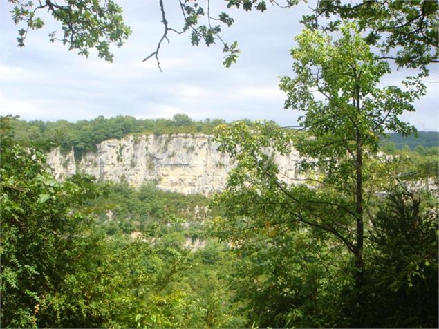 Point de vue de Chatillon - Corveissiat