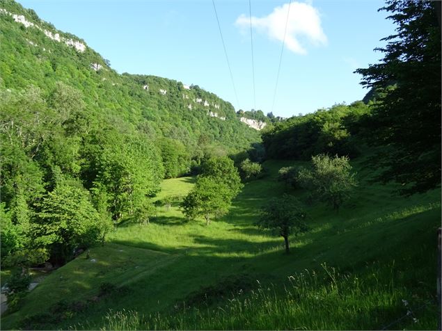 Point de vue de Chatillon - Corveissiat