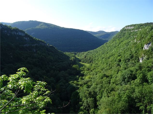 Point de vue de Chatillon - Corveissiat