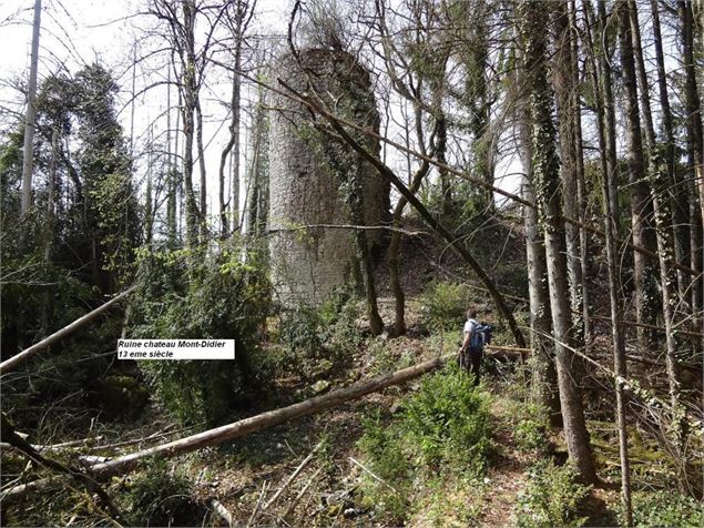 Point de vue des ruines de Montdidier