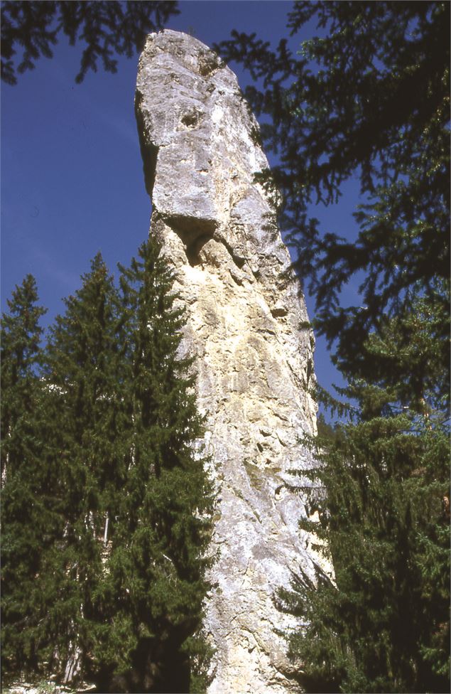 Aiguille de cargneule de 93m de hauteur - Escalade, balade en forêt - CCHMV