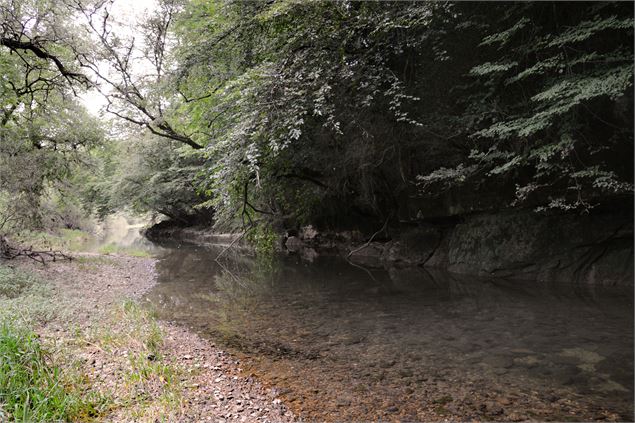 Le Suran à Neuville-sur-Ain - JFB