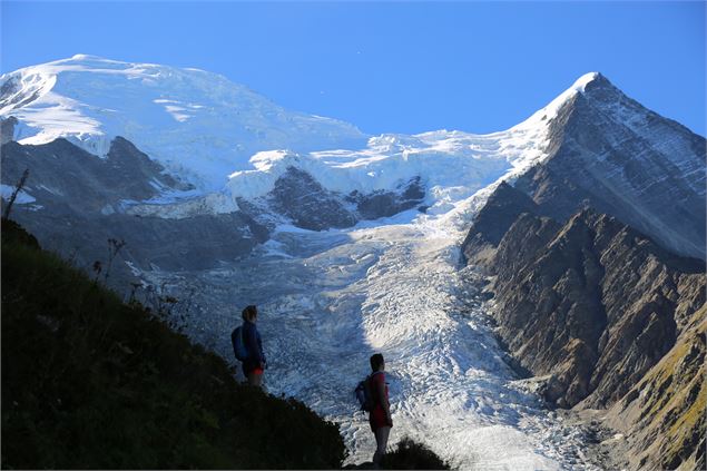 Vue Glacier des Bossons