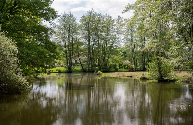 Etang Salendre - Grand Angle