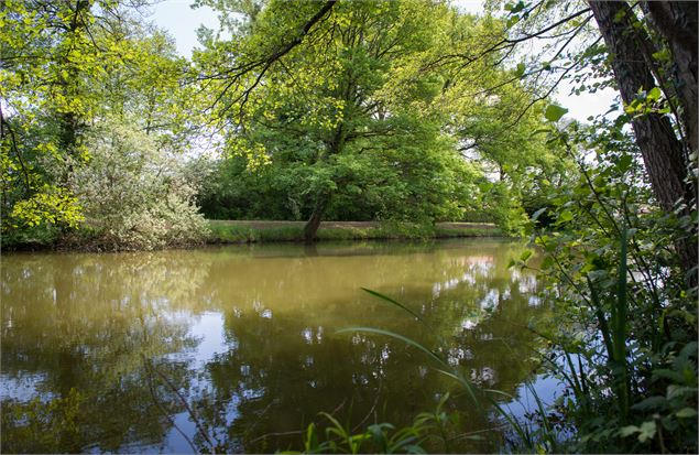 Etang Salendre - Grand Angle