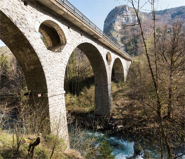 Le Pont de la Tassonnière depuis le sentier - Yvan Tisseyre/OT Vallée d'Aulps