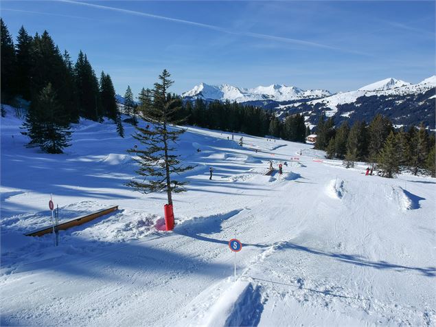 Snowpark Chavannes