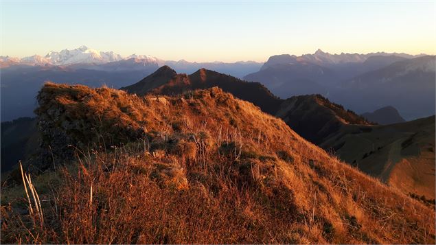 Vue sur le massif du Mont-Blanc et la chaine des Aravis - Cyril Noel