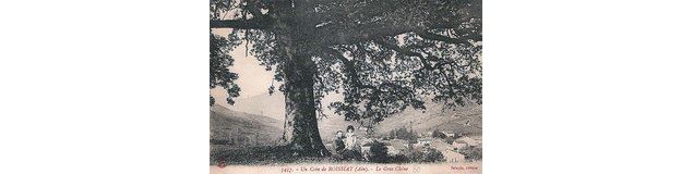 Le site du Chêne