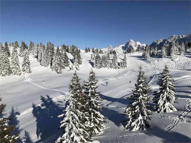 Domaine skiable des Houches - P. Raphoz