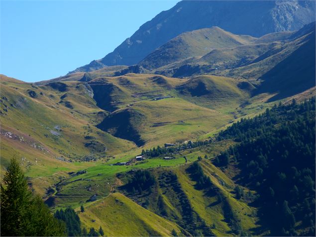 Les Alpages de Rosset - la Chail - MNPC