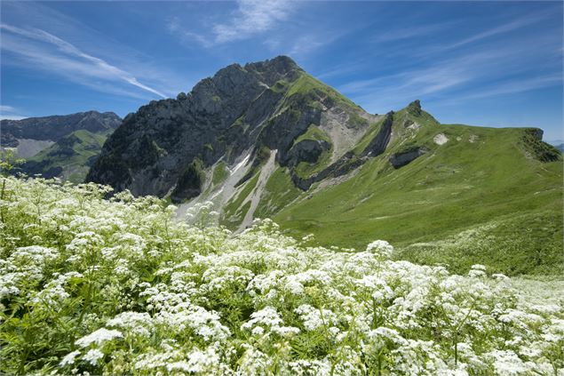 Le mont Trélod - ©SavoieMontBlanc-Lansard