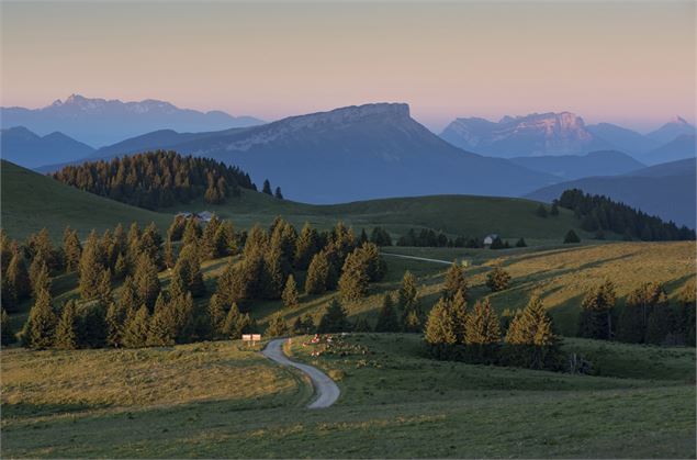Plateau sommital du Semnoz - SavoieMontBlanc-Martelet
