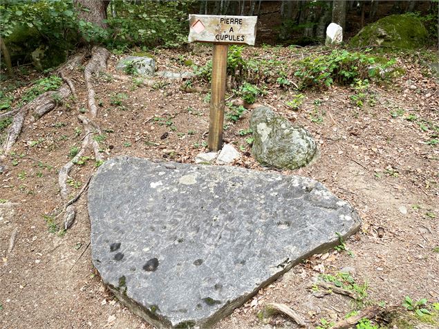 Sentier de la pierre à cupules - Feissons sur Salins - Vallée de Bozel Tourisme
