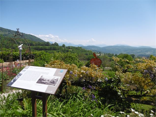 Point de vue sur les vergers longue vue Charly Andilly - ©Alter'Alpa Tourisme