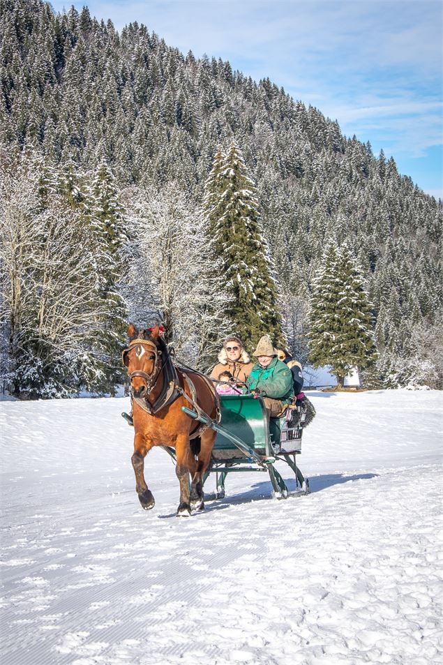 Traineau à cheval aux Contamines Montjoie - Les Contamines Tourisme