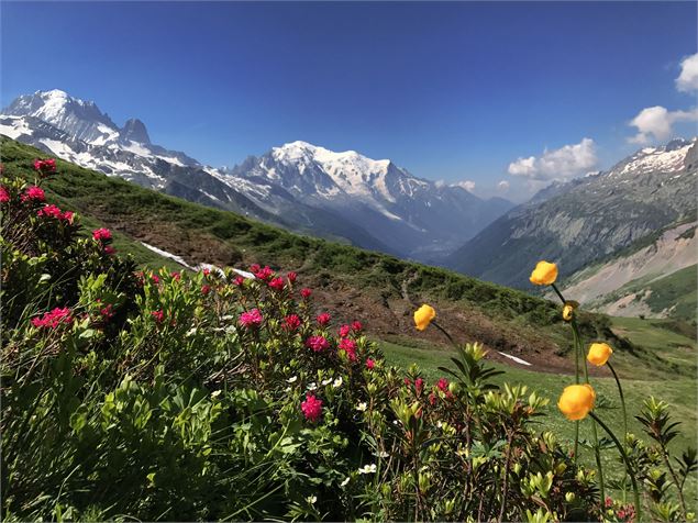 Col de Balme - Salomé ABRIAL