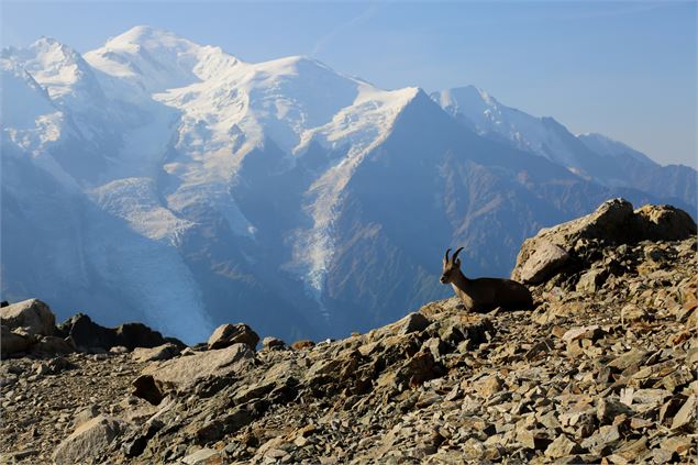 Lacs Noirs - OT Vallée de Chamonix MB