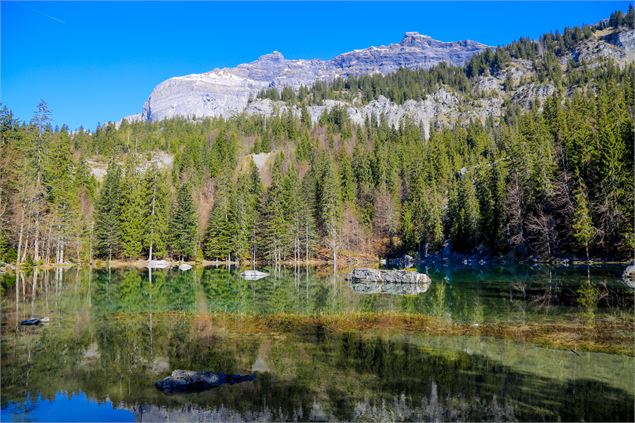 Randonnée Lac Vert - OT Vallée de Chamonix-Salomé-ABRIAL