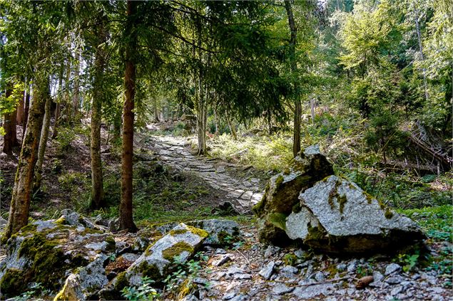 chemin en granit dans la forêt - OT Combloux Paul Besson