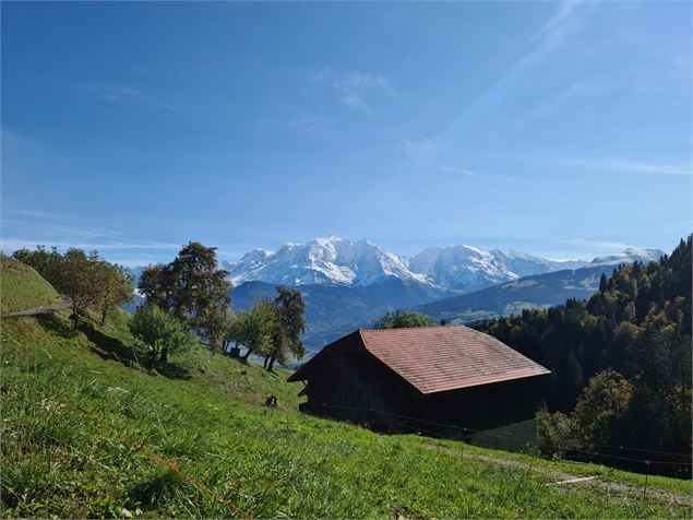 vue sur le Mont-Blanc - Wendy Coulon
