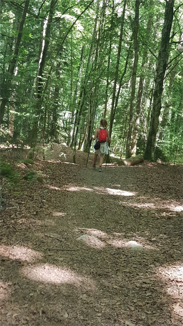 sentier pédestre : sentier forestier de Mayères - Véronique Lorenzi