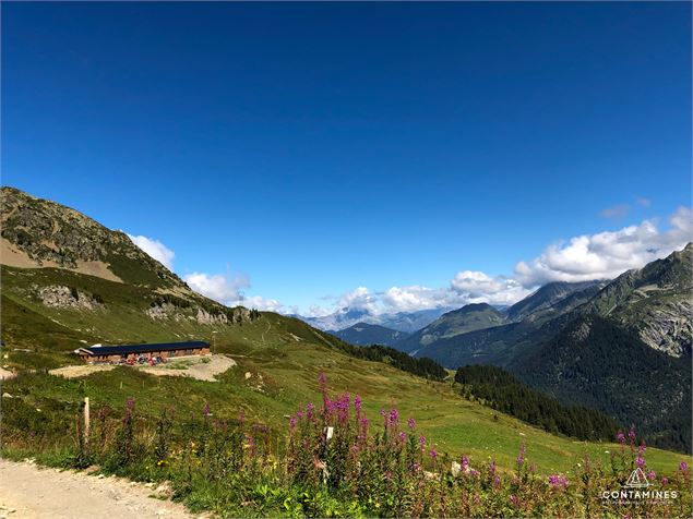 Le refuge des prés aux Contamines, superbe randonnée face au Mont Blanc, au coeur de la réserve natu