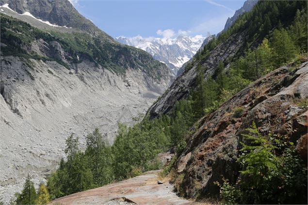 Vue depuis les Mottets - OT Vallée de Chamonix Mont Blanc
