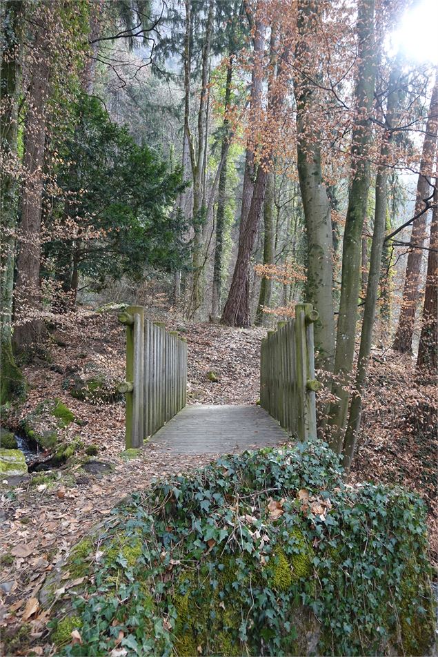Pont - CAMT