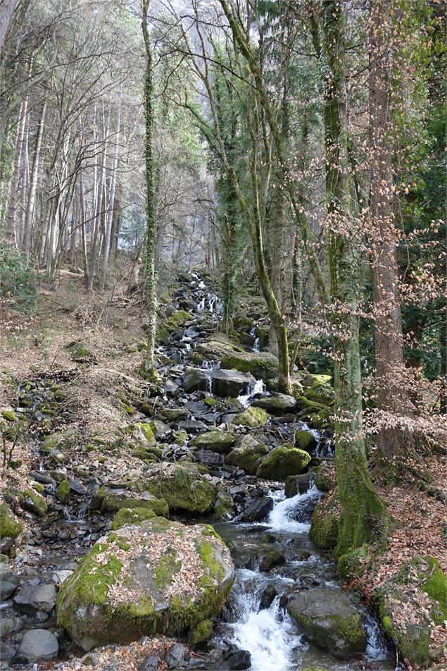 Ruisseau - CAMT