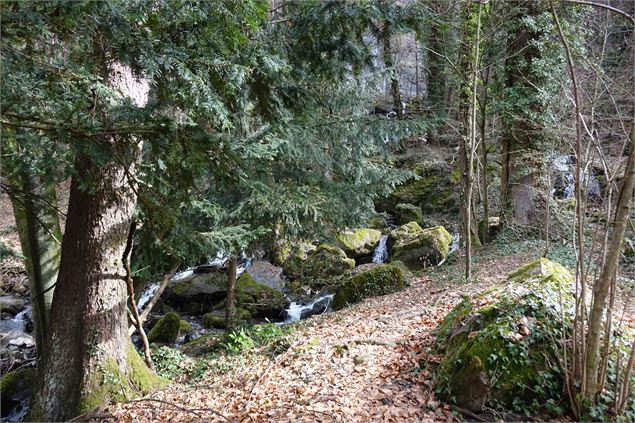 Sentier - CAMT