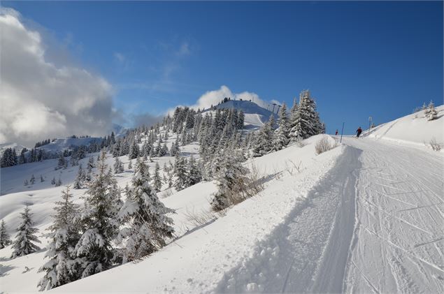 Skieurs sur la piste bleue La Controverse, sur le domaine skiable Les Portes du Mont-Blanc - Mj Diff