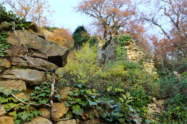 Ruines du Château de Saint-Germain - Vincent Gaullier