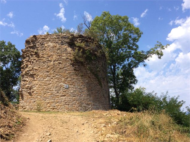 vestige du donjon du château de Saint-Germain - Vincent Gaullier