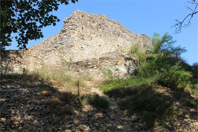 vestiges du château de St-Germain - Vincent Gaullier